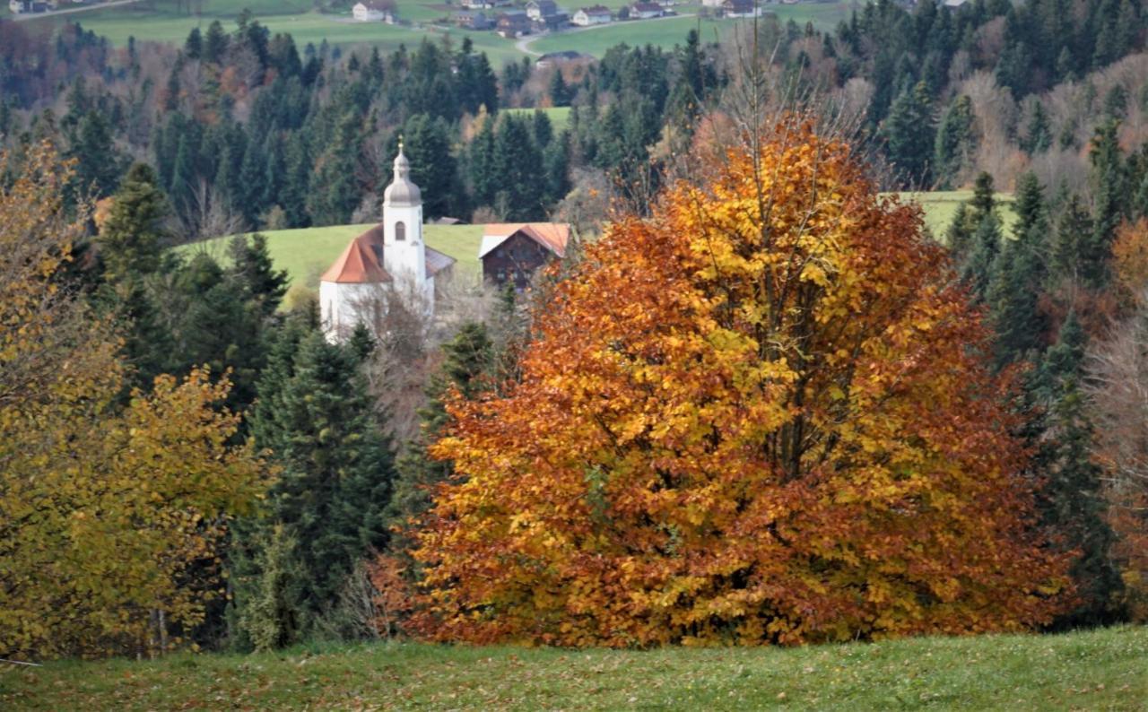 LangeneggFerien In Feld 109公寓 外观 照片